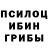 Псилоцибиновые грибы GOLDEN TEACHER Dana Bilichenko