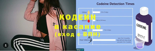 амф Пересвет